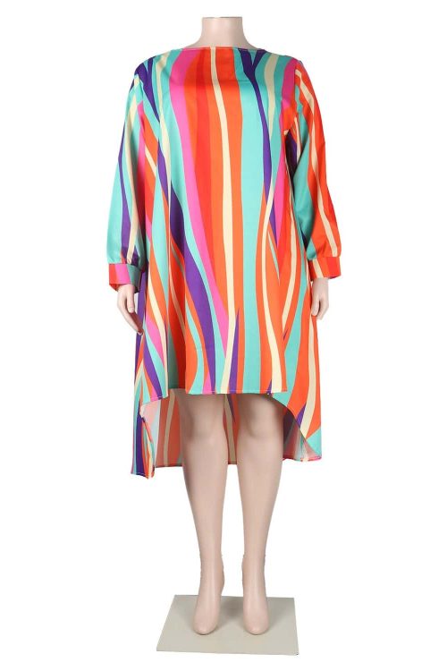 Ladies Multicolor Printed Loose Dress