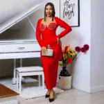 Elegant V-Neck Embellished Dress - back view