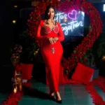 Elegant V-Neck Embellished Dress - close-up embellishments