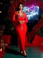 Elegant V-Neck Embellished Dress - full length view